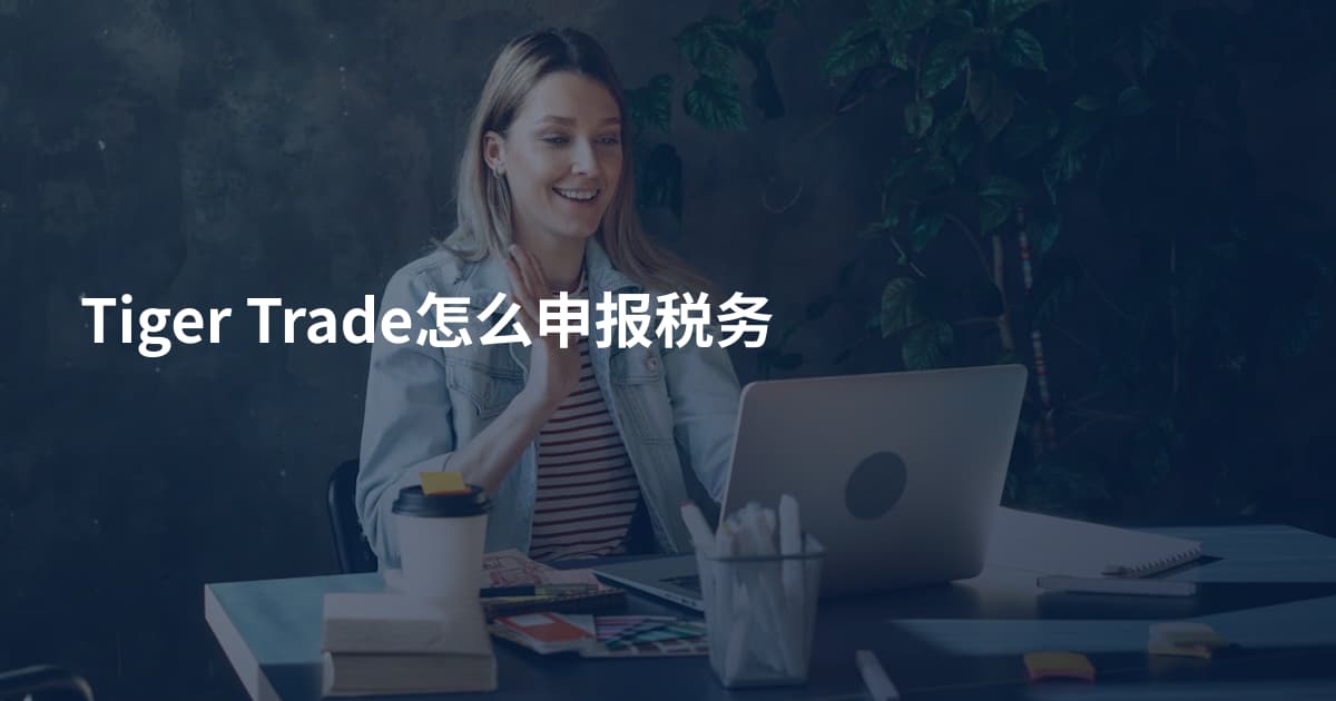 Tiger Trade怎么申报税务