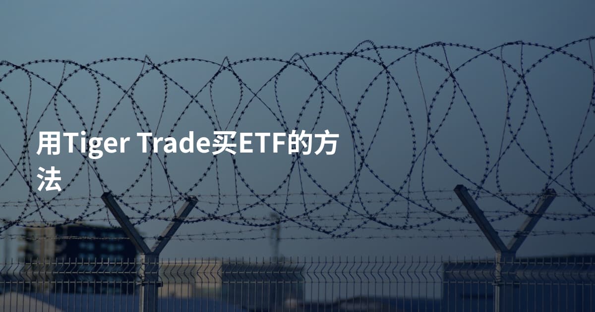 用Tiger Trade买ETF的方法