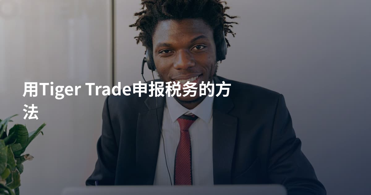 用Tiger Trade申报税务的方法