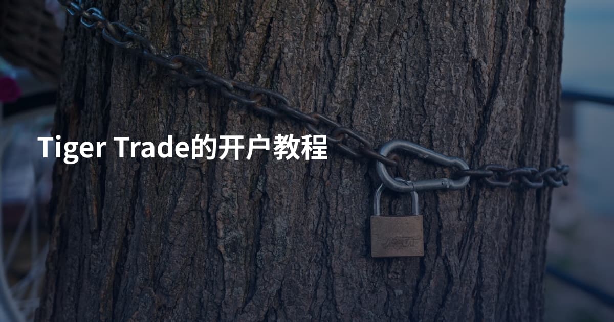 Tiger Trade的开户教程