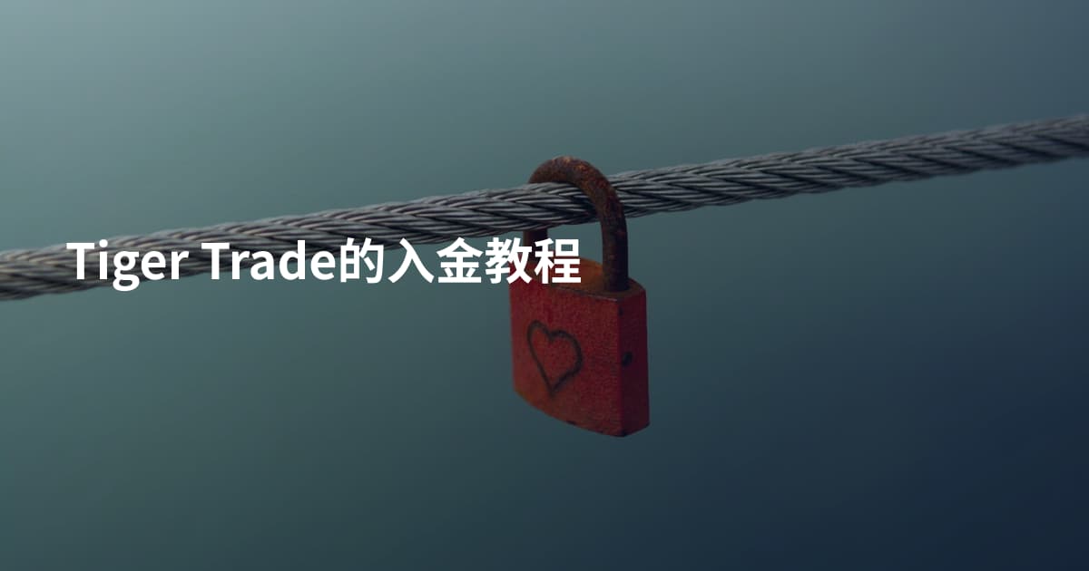 Tiger Trade的入金教程