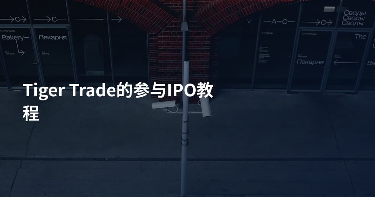 Tiger Trade的参与IPO教程