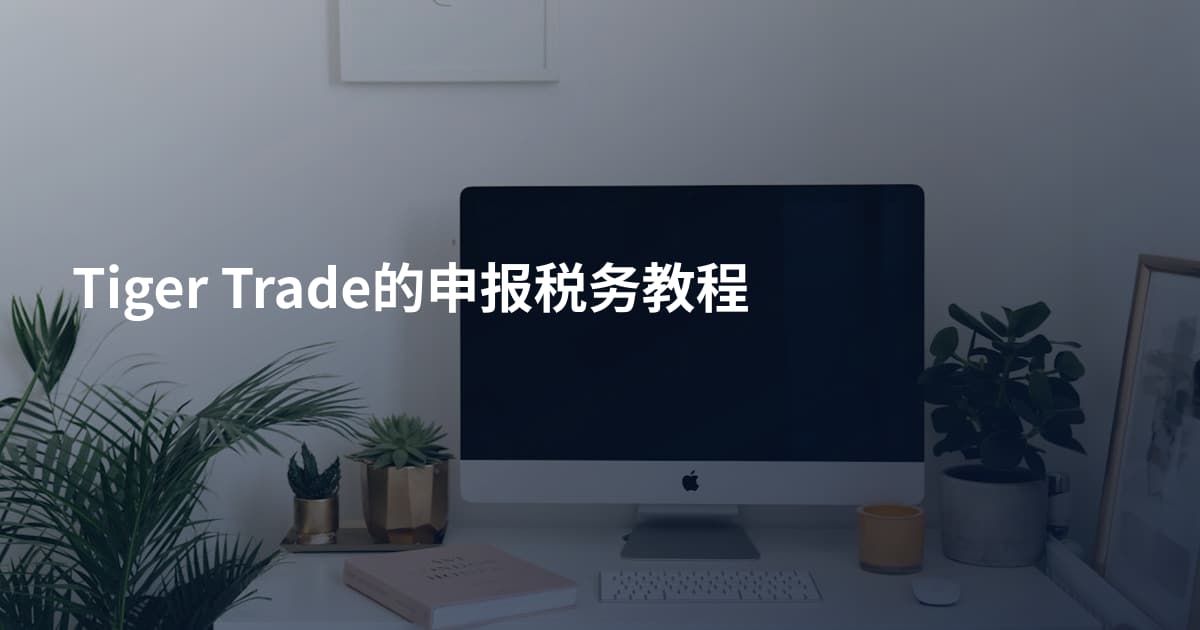 Tiger Trade的申报税务教程
