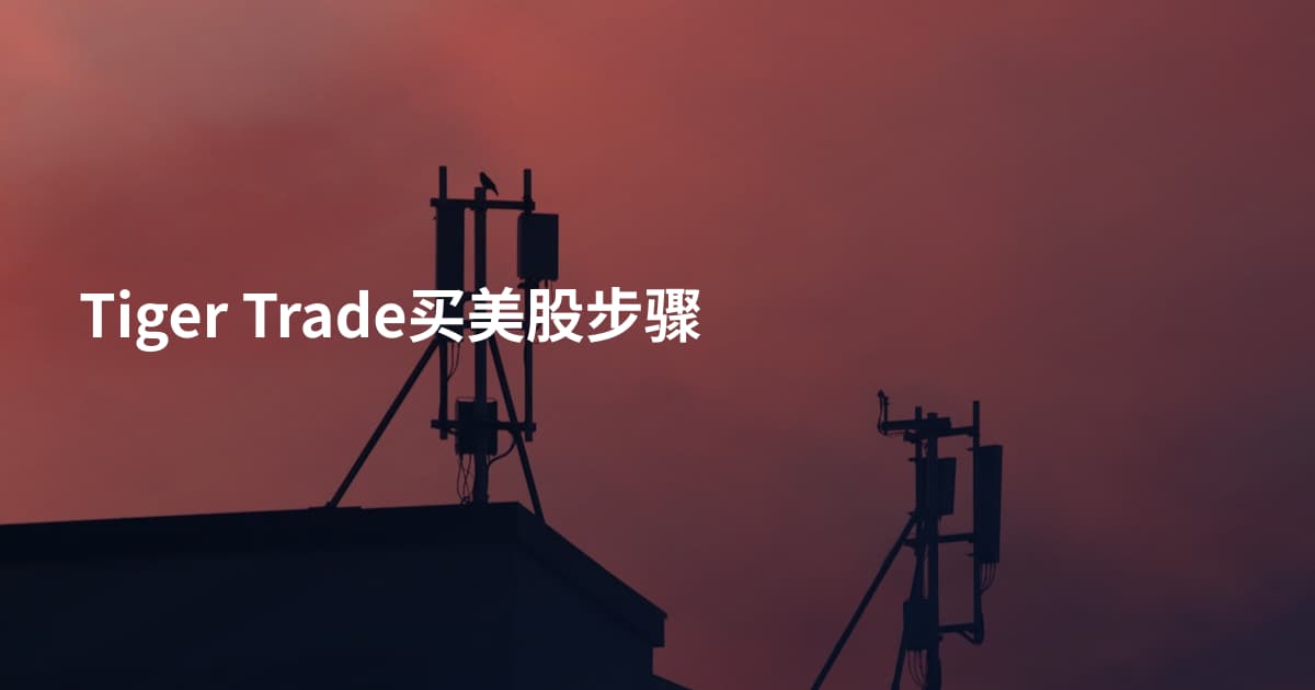 Tiger Trade买美股步骤