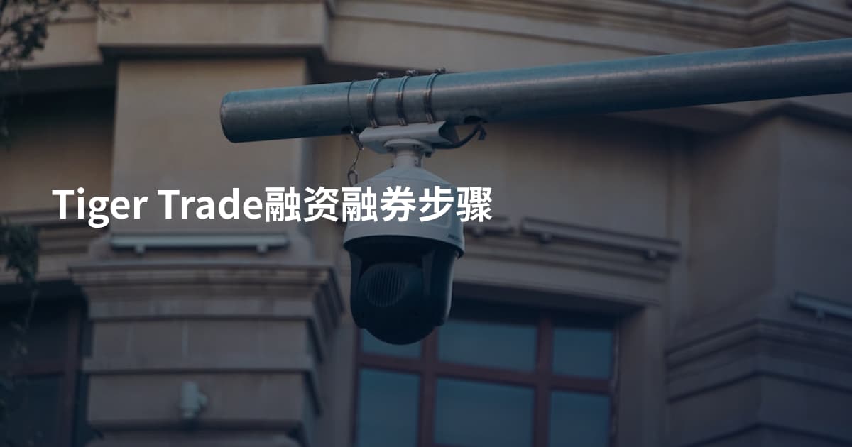 Tiger Trade融资融券步骤