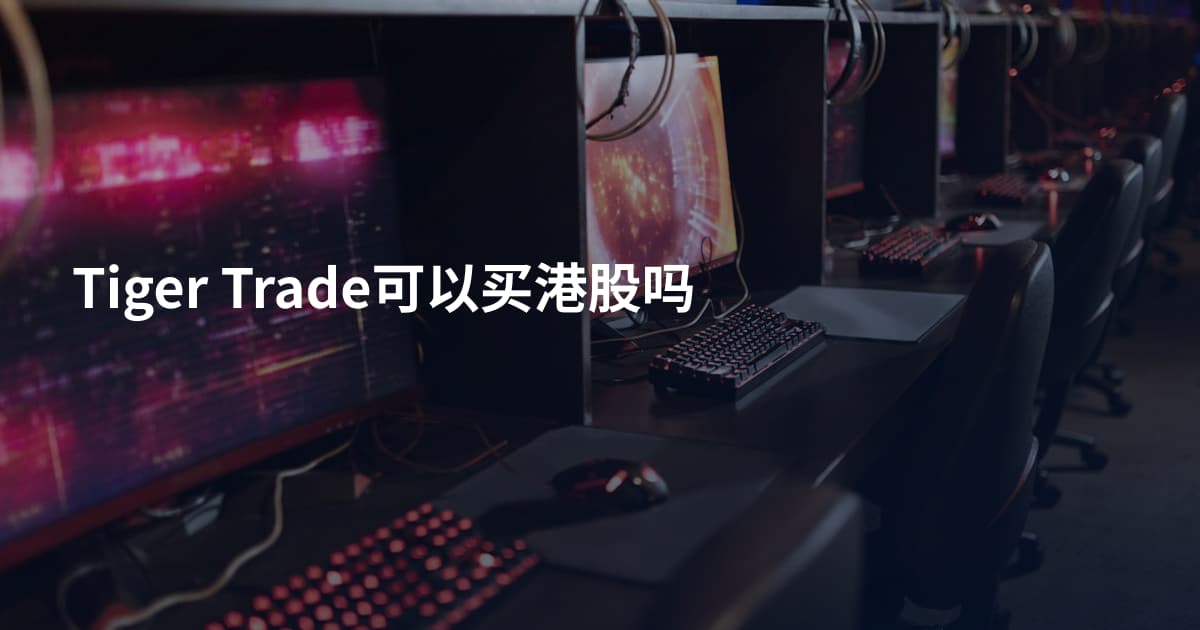 Tiger Trade可以买港股吗