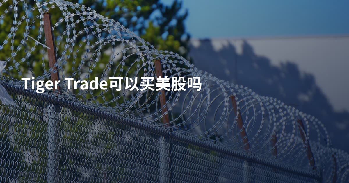 Tiger Trade可以买美股吗