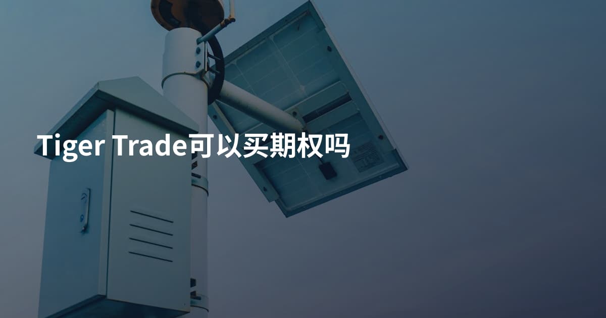 Tiger Trade可以买期权吗