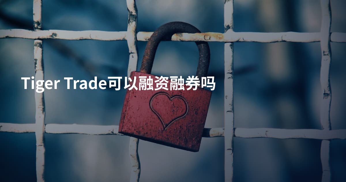Tiger Trade可以融资融券吗