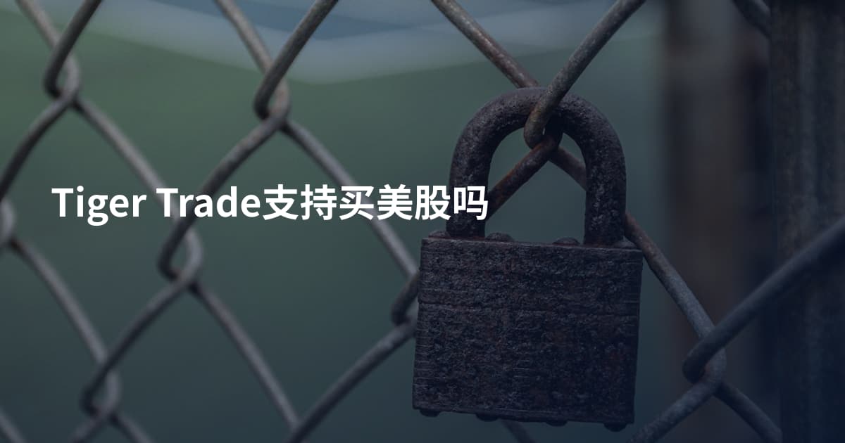 Tiger Trade支持买美股吗