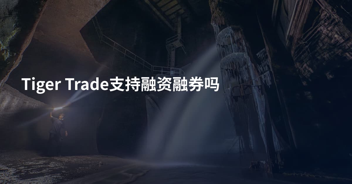 Tiger Trade支持融资融券吗