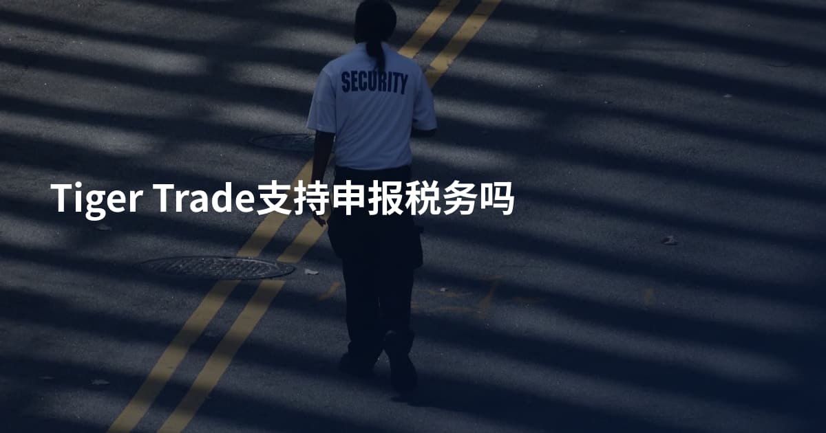 Tiger Trade支持申报税务吗