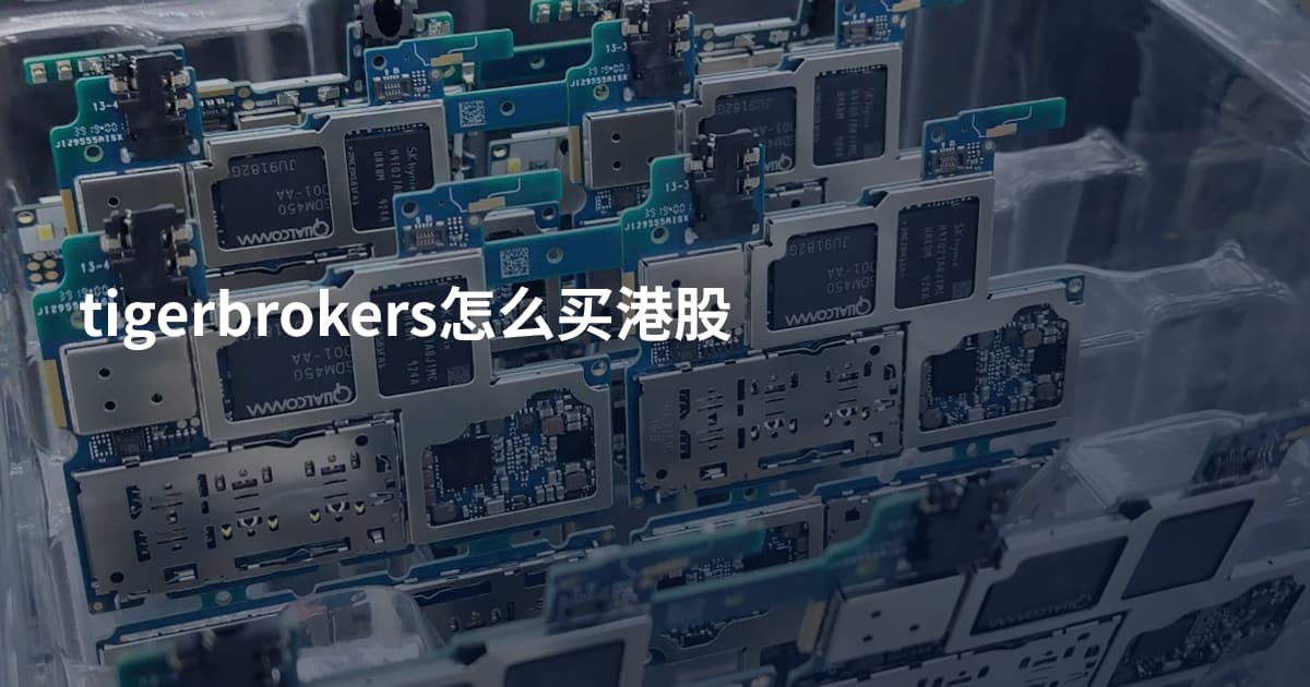 tigerbrokers怎么买港股