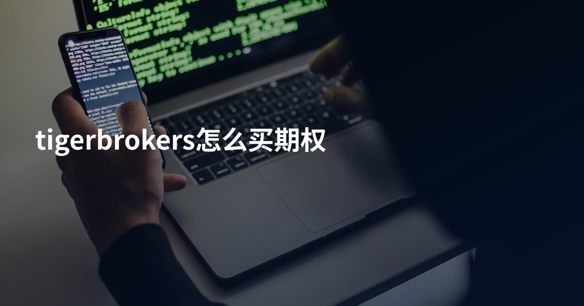 tigerbrokers怎么买期权