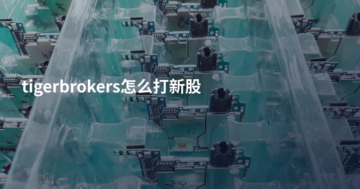 tigerbrokers怎么打新股