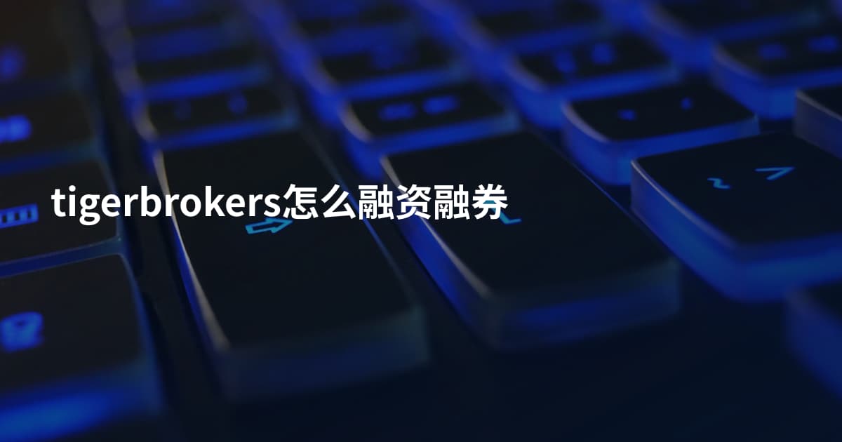 tigerbrokers怎么融资融券
