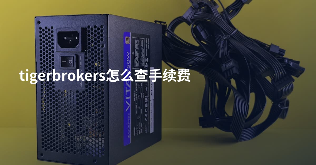 tigerbrokers怎么查手续费