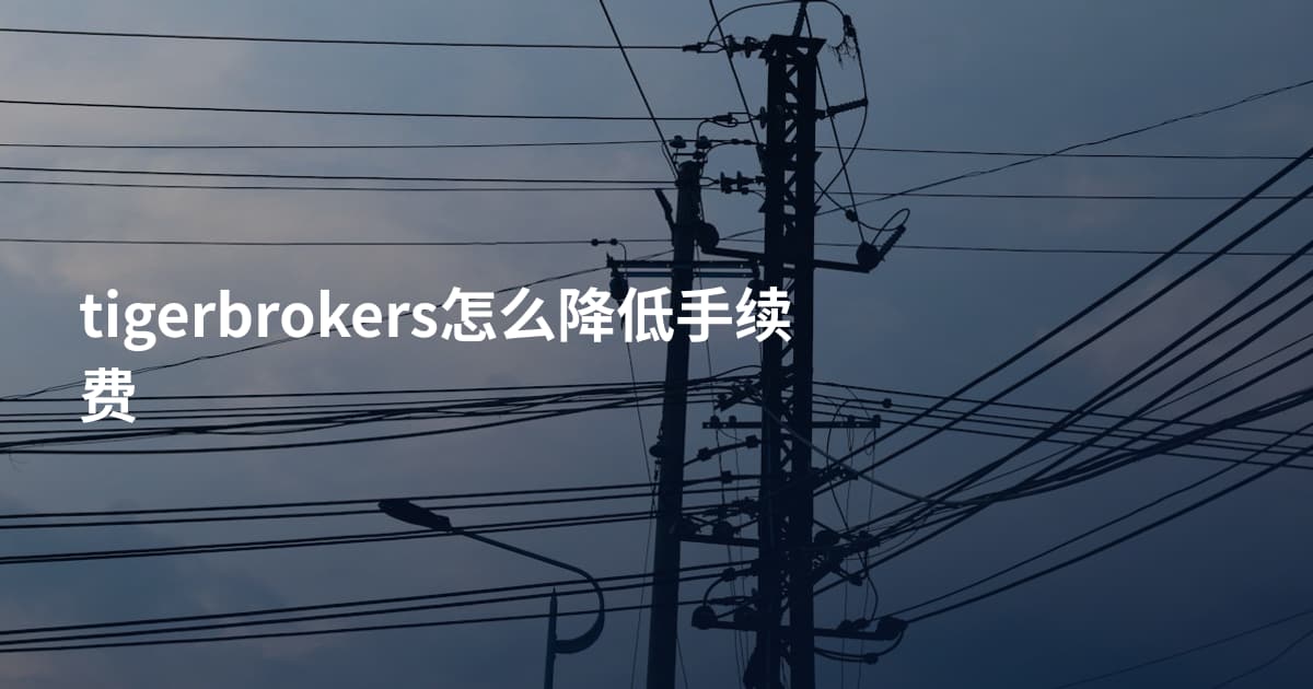 tigerbrokers怎么降低手续费