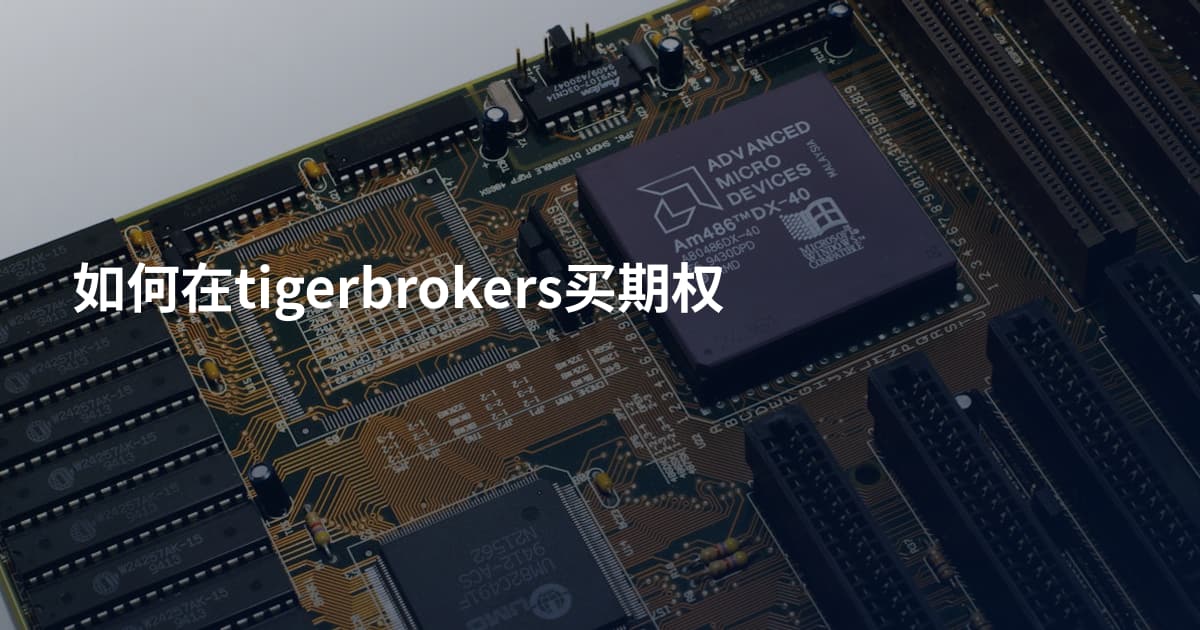 如何在tigerbrokers买期权