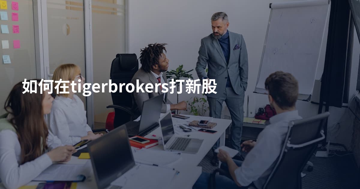如何在tigerbrokers打新股