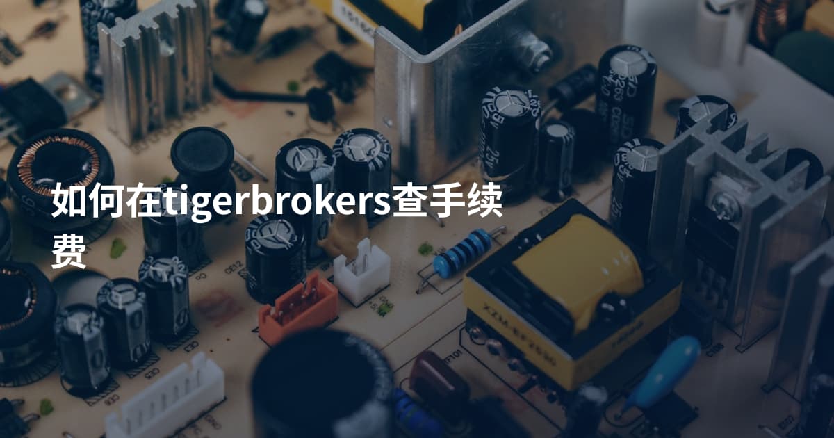 如何在tigerbrokers查手续费