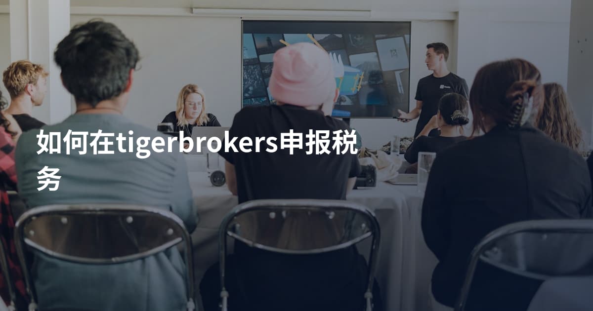 如何在tigerbrokers申报税务