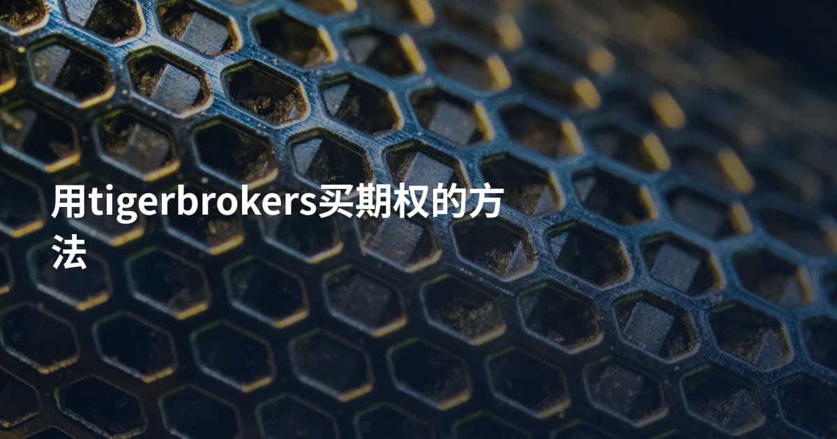 用tigerbrokers买期权的方法