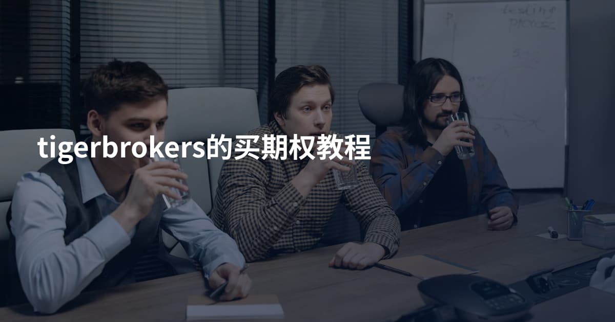 tigerbrokers的买期权教程