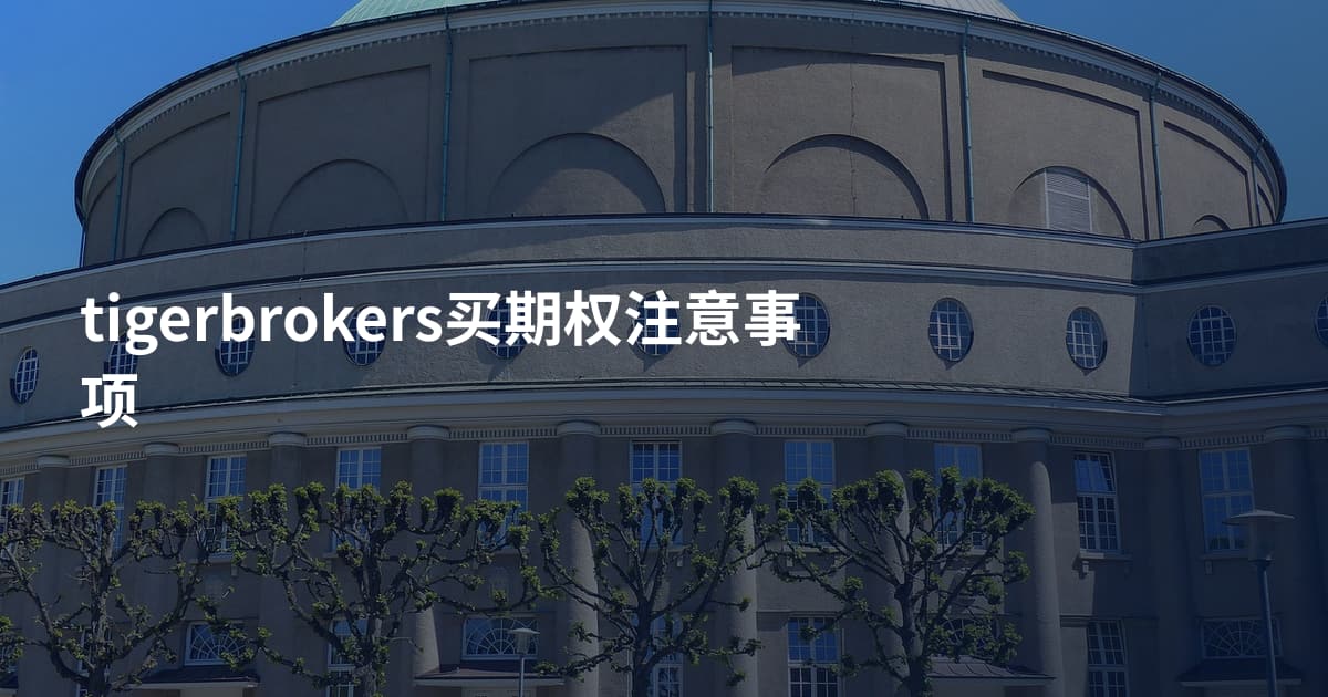 tigerbrokers买期权注意事项