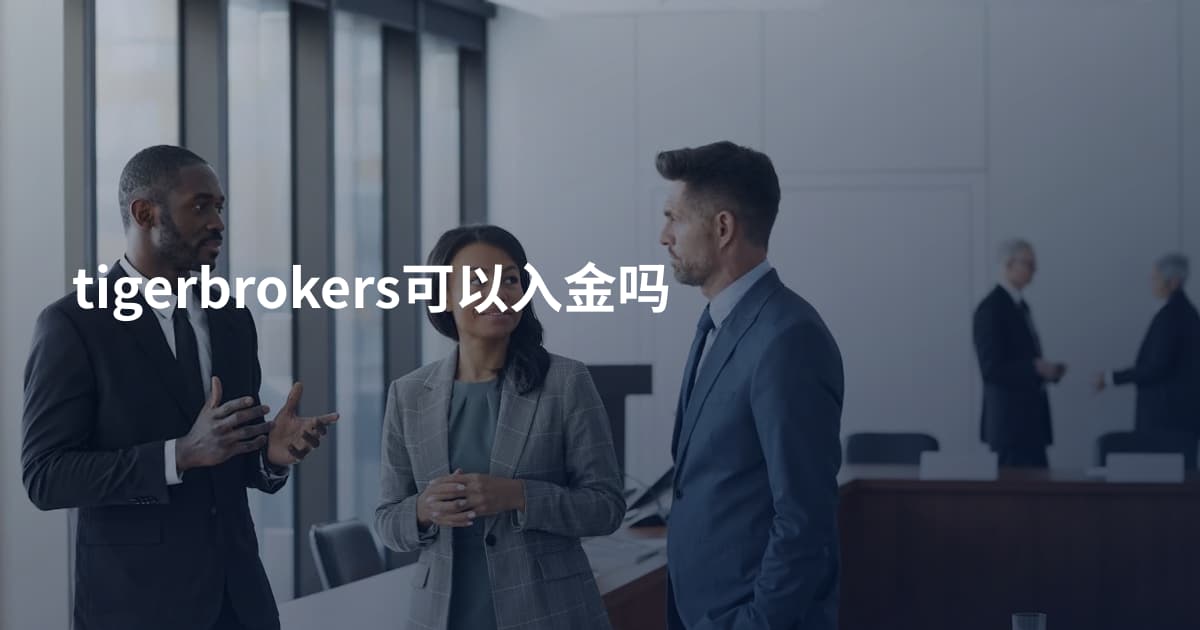 tigerbrokers可以入金吗