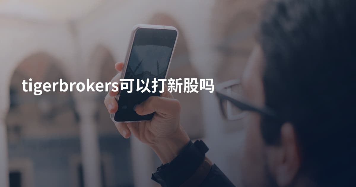 tigerbrokers可以打新股吗