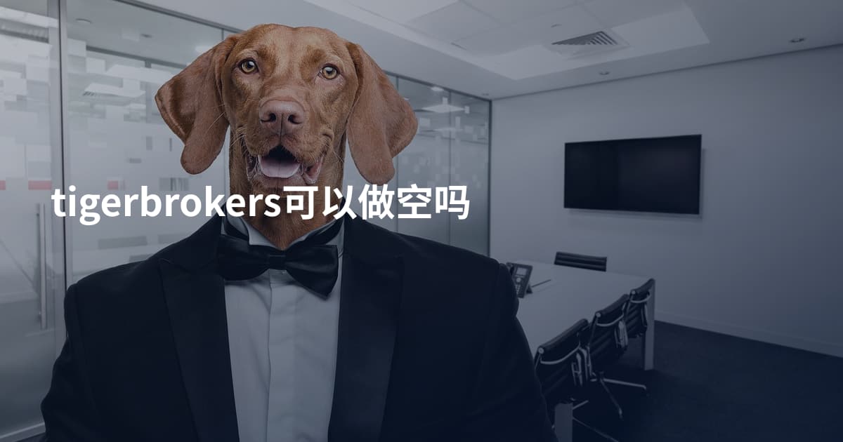 tigerbrokers可以做空吗
