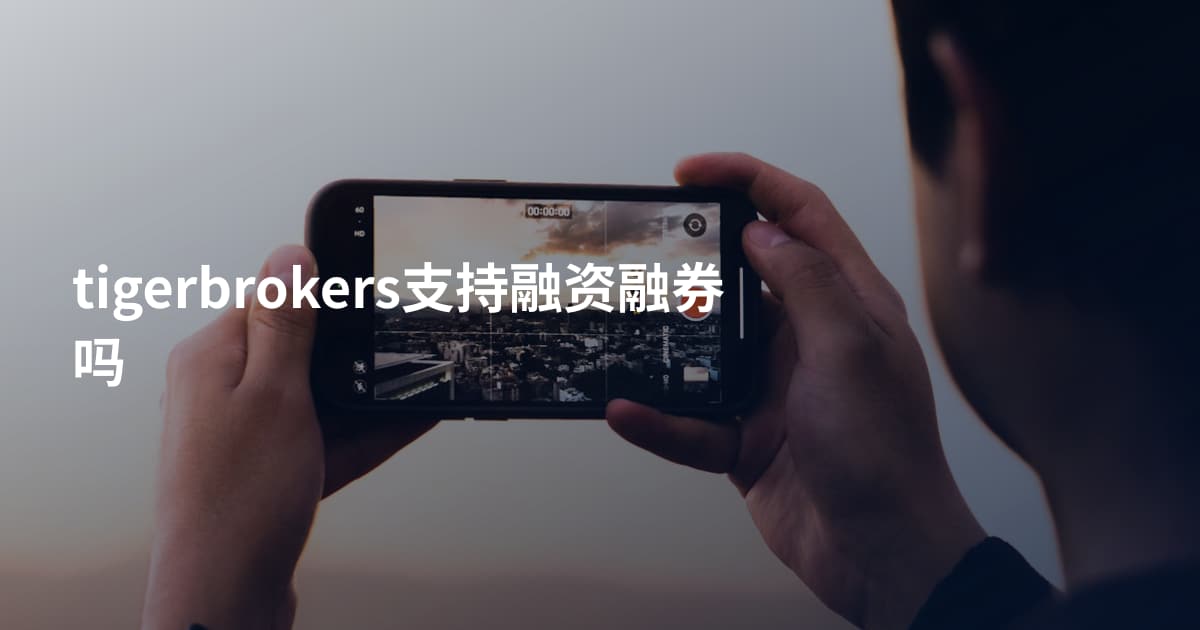 tigerbrokers支持融资融券吗