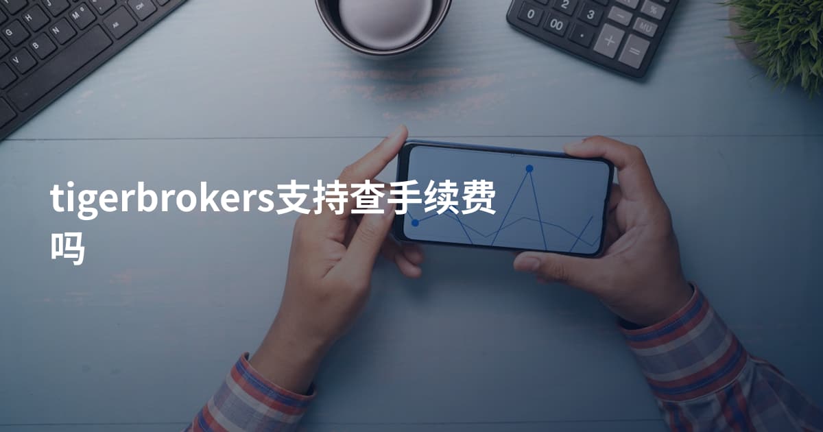 tigerbrokers支持查手续费吗