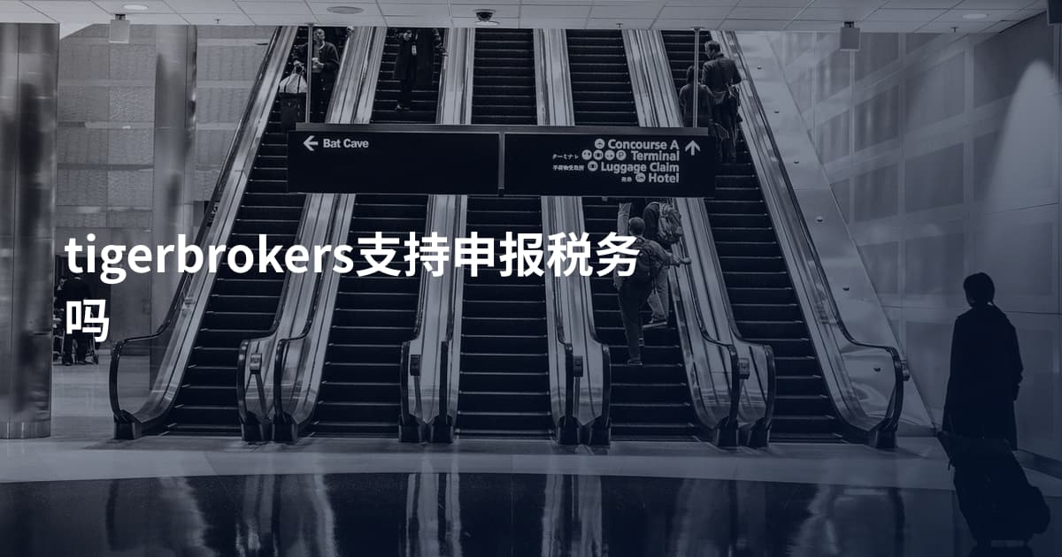 tigerbrokers支持申报税务吗