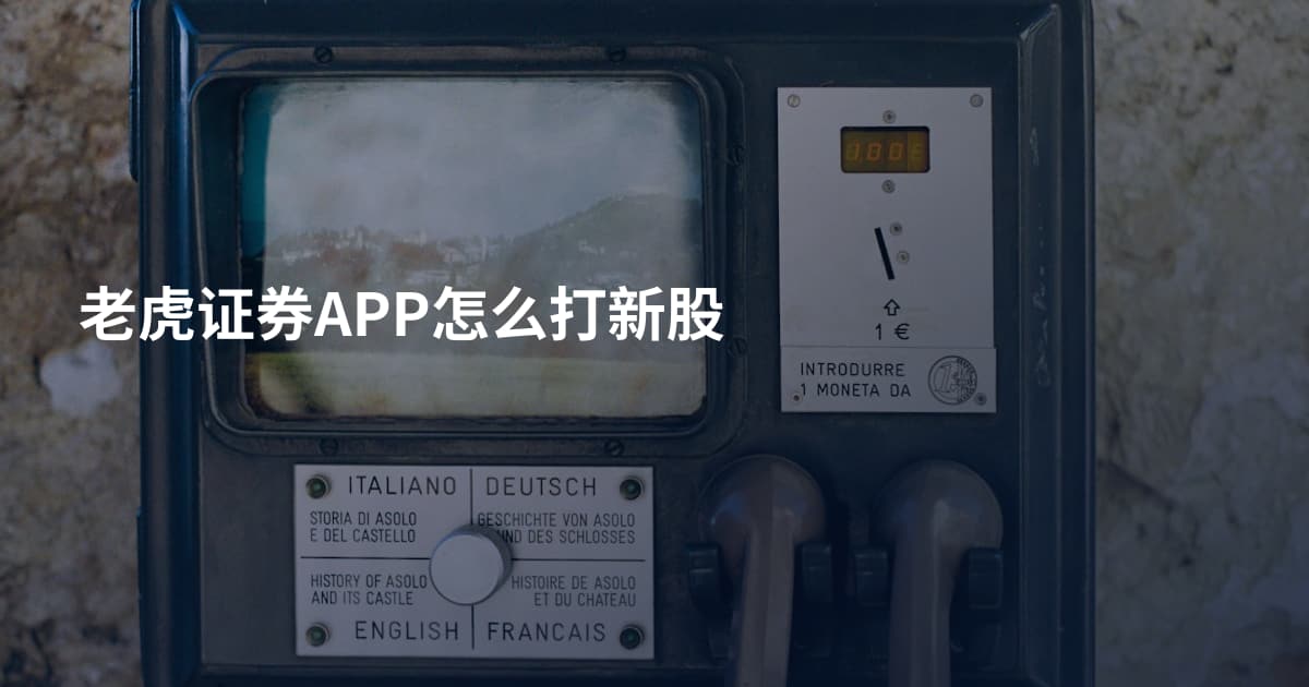 老虎证券APP怎么打新股