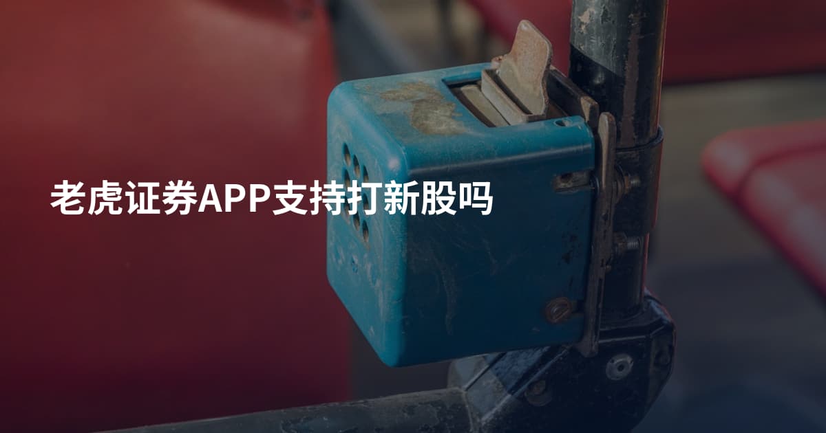 老虎证券APP支持打新股吗