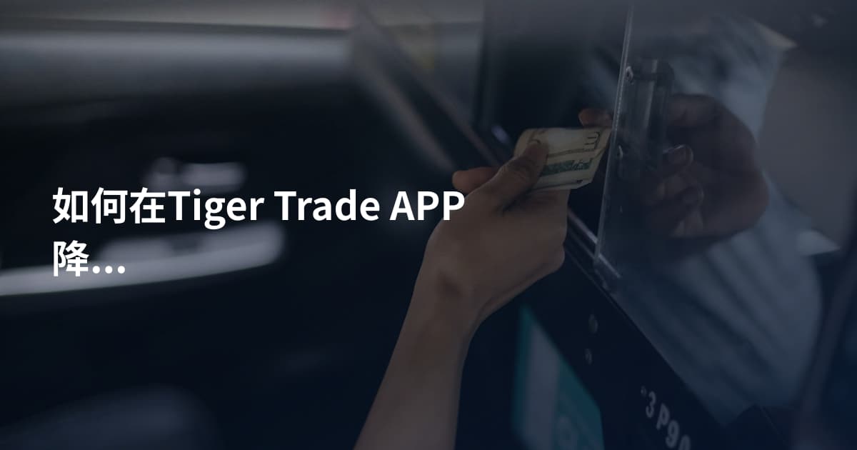 如何在Tiger Trade APP降低手续费