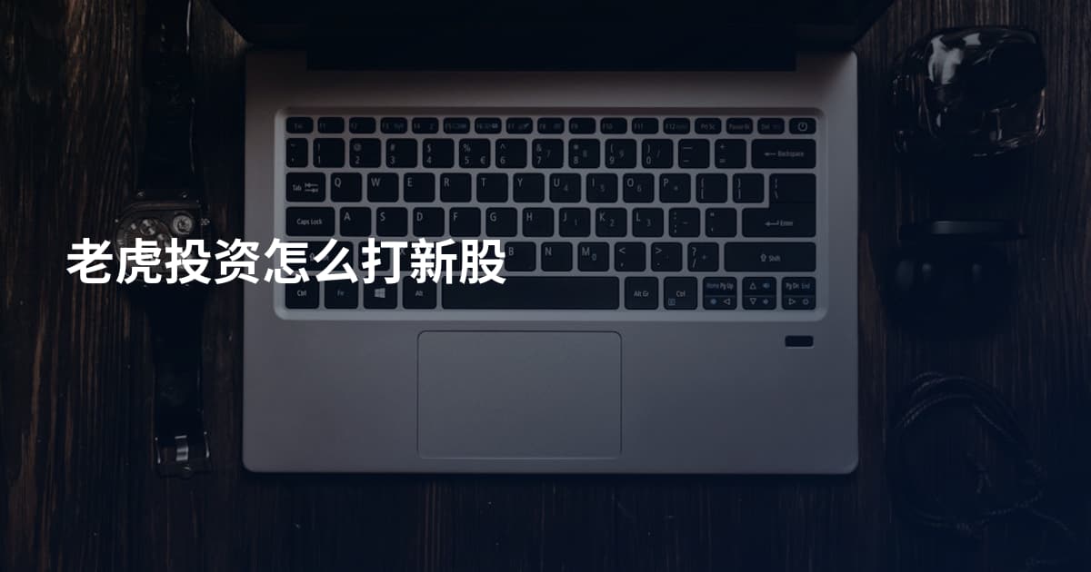 老虎投资怎么打新股
