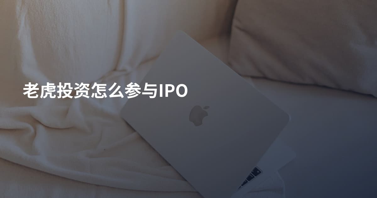 老虎投资怎么参与IPO
