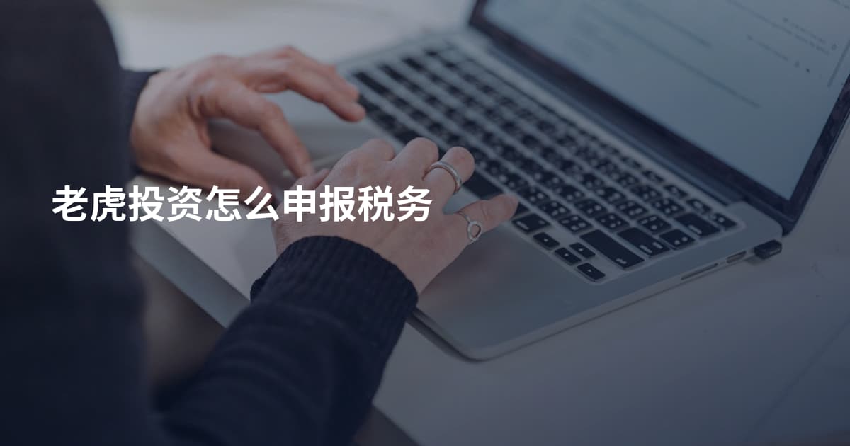 老虎投资怎么申报税务