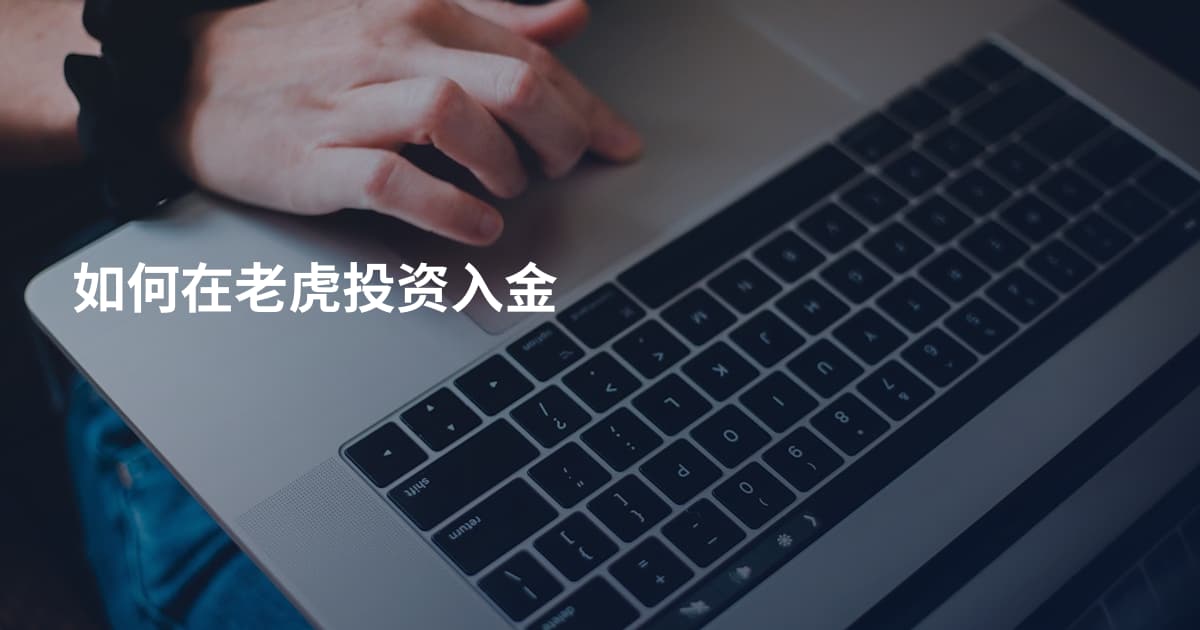 如何在老虎投资入金