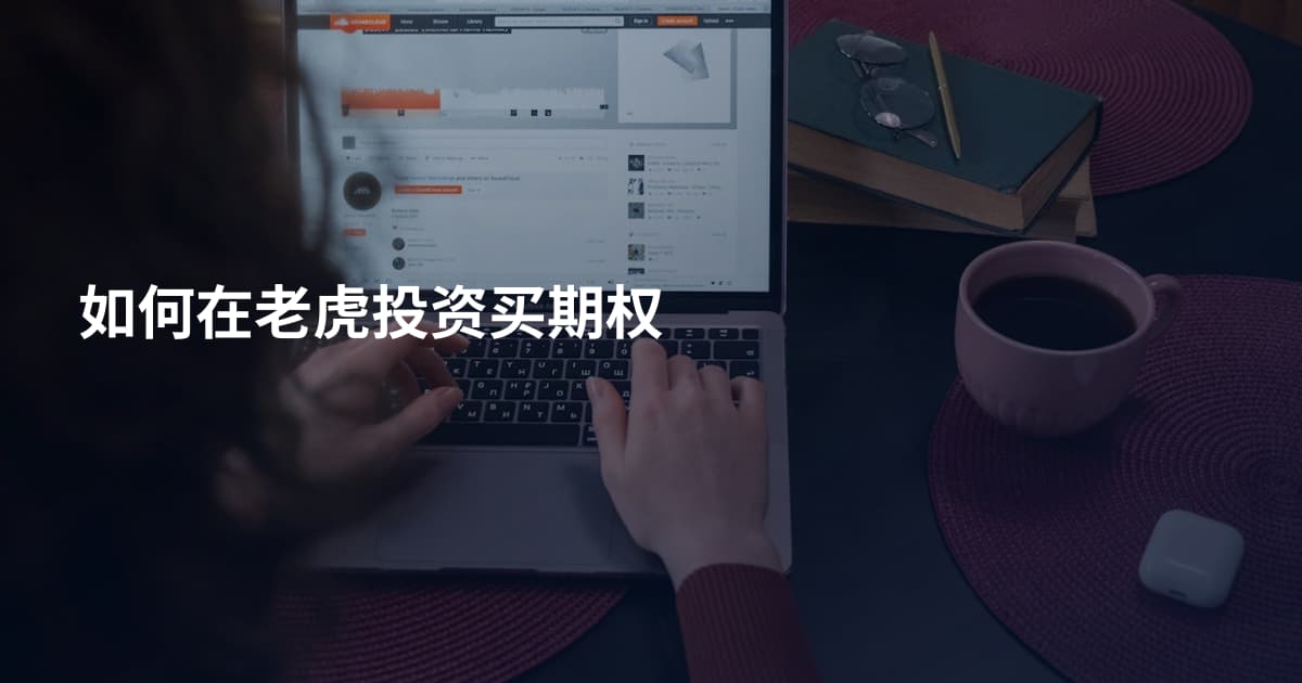 如何在老虎投资买期权