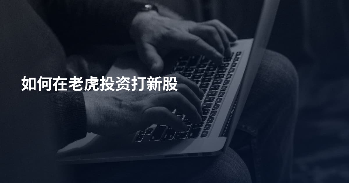 如何在老虎投资打新股