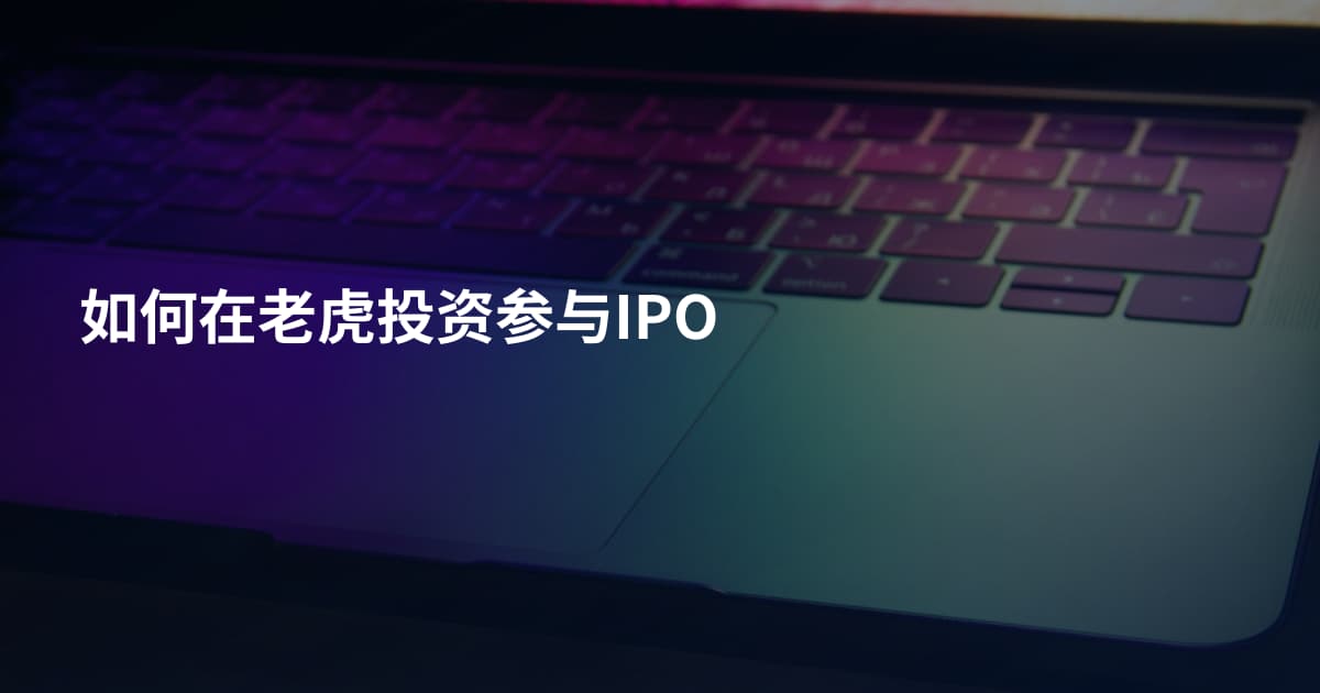 如何在老虎投资参与IPO