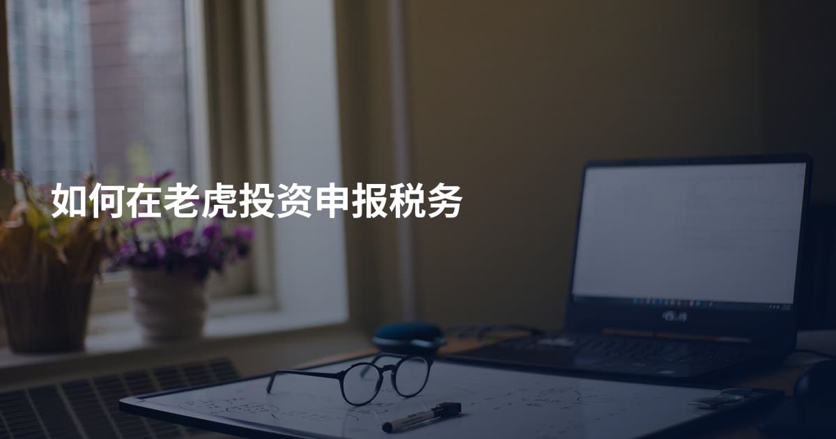 如何在老虎投资申报税务