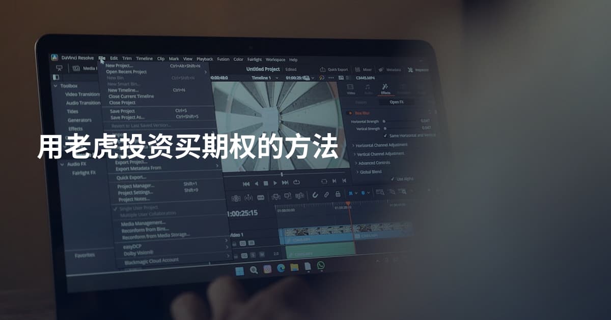 用老虎投资买期权的方法