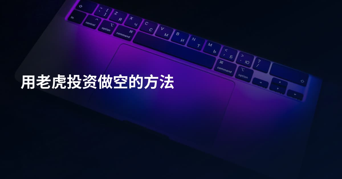 用老虎投资做空的方法