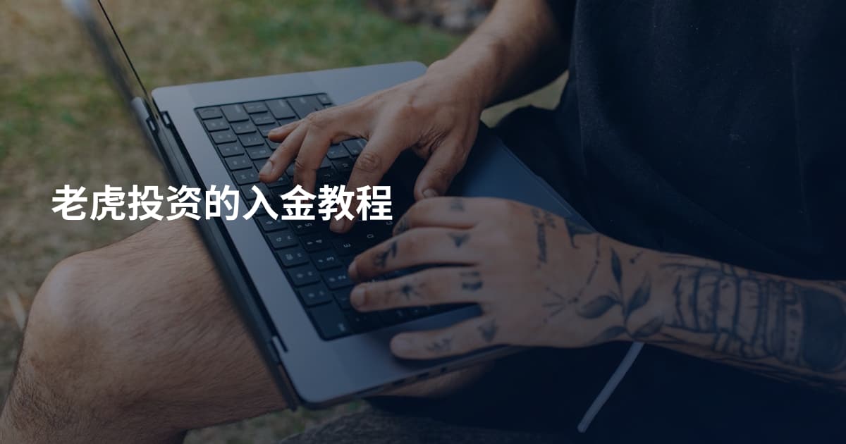 老虎投资的入金教程