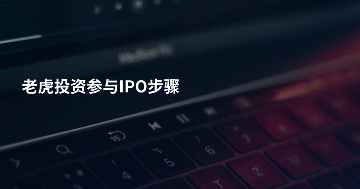 老虎投资参与IPO步骤